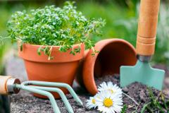 Parochie Petrus & Paulus Tuinonderhoud begraafplaats Bladel