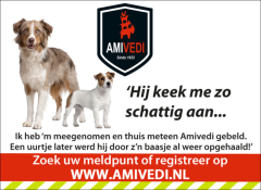 Stichting Amivedi Beheerders voor onze meldpunten Amivedi